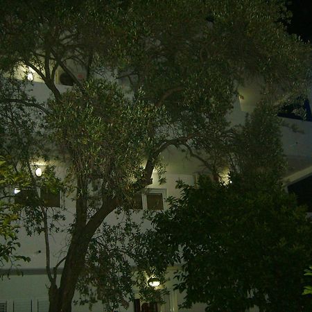 Lyon Apartments Budva Exterior foto