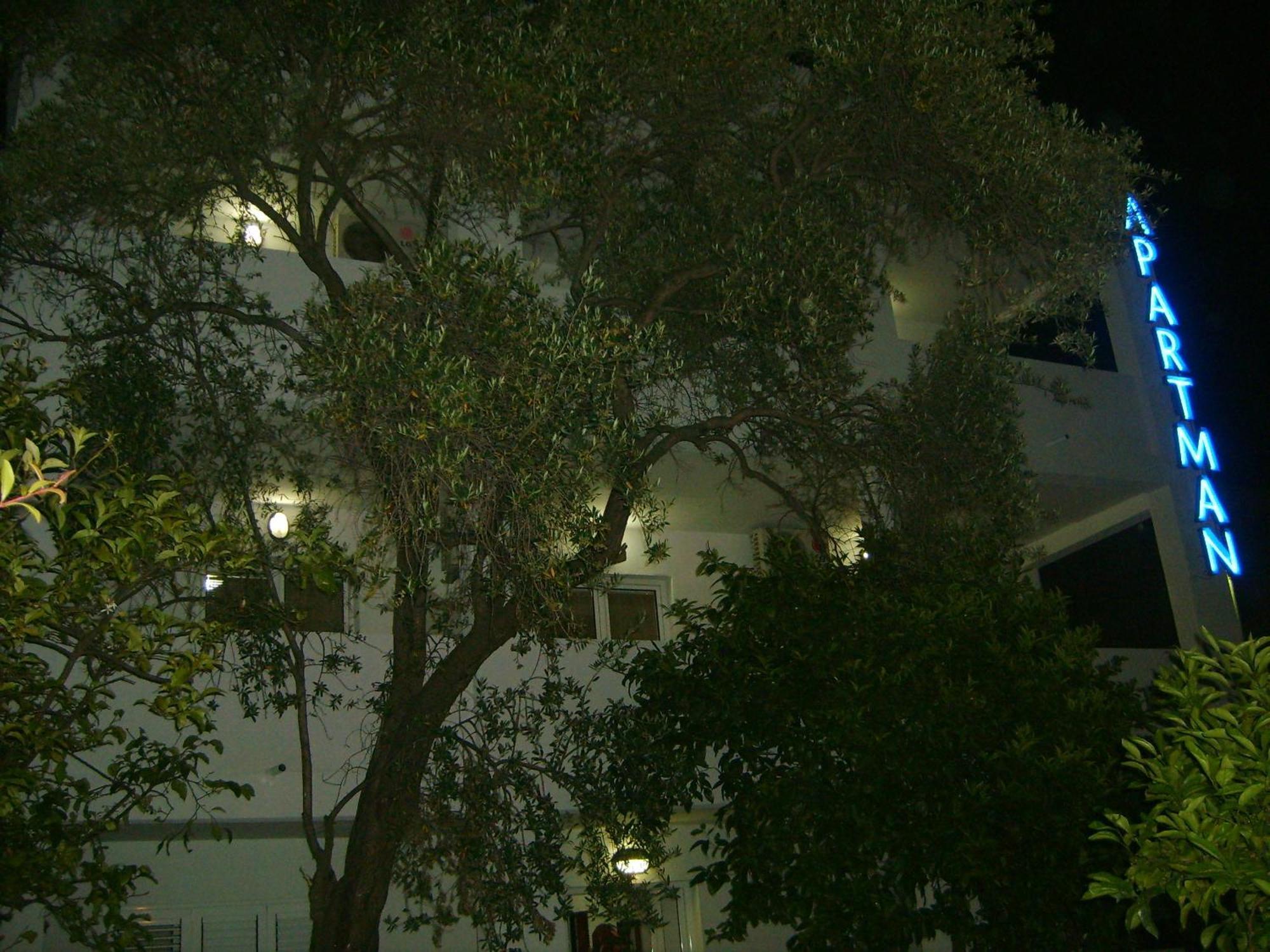 Lyon Apartments Budva Exterior foto